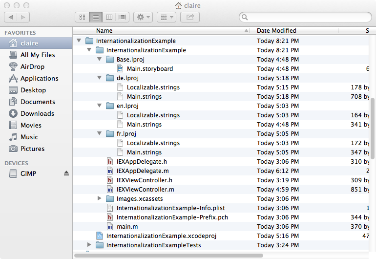 What your project should look like on the file system
